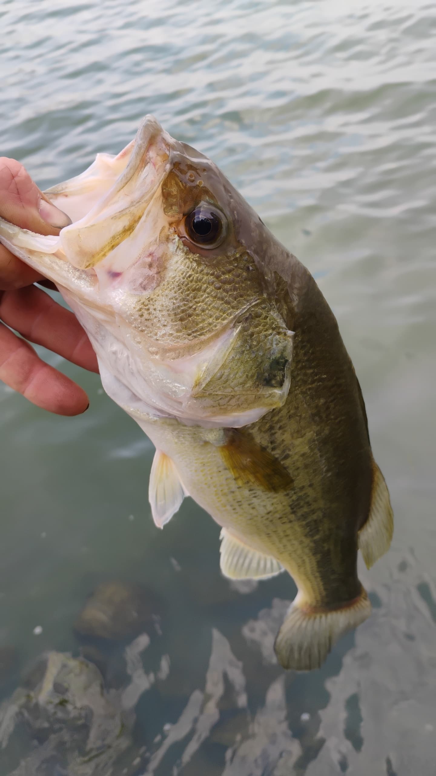 Carousel Main Image 1