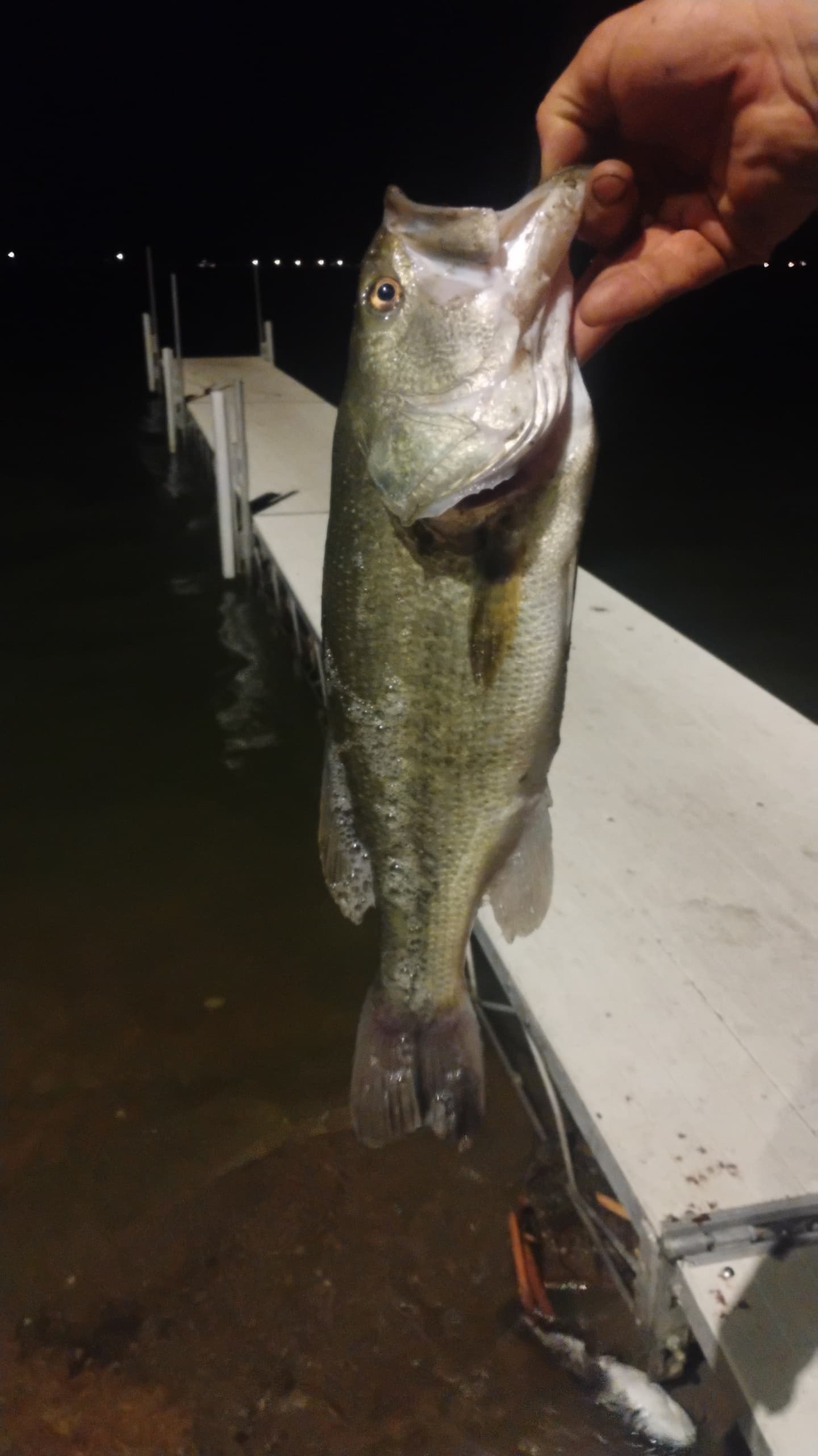 Carousel Main Image 6