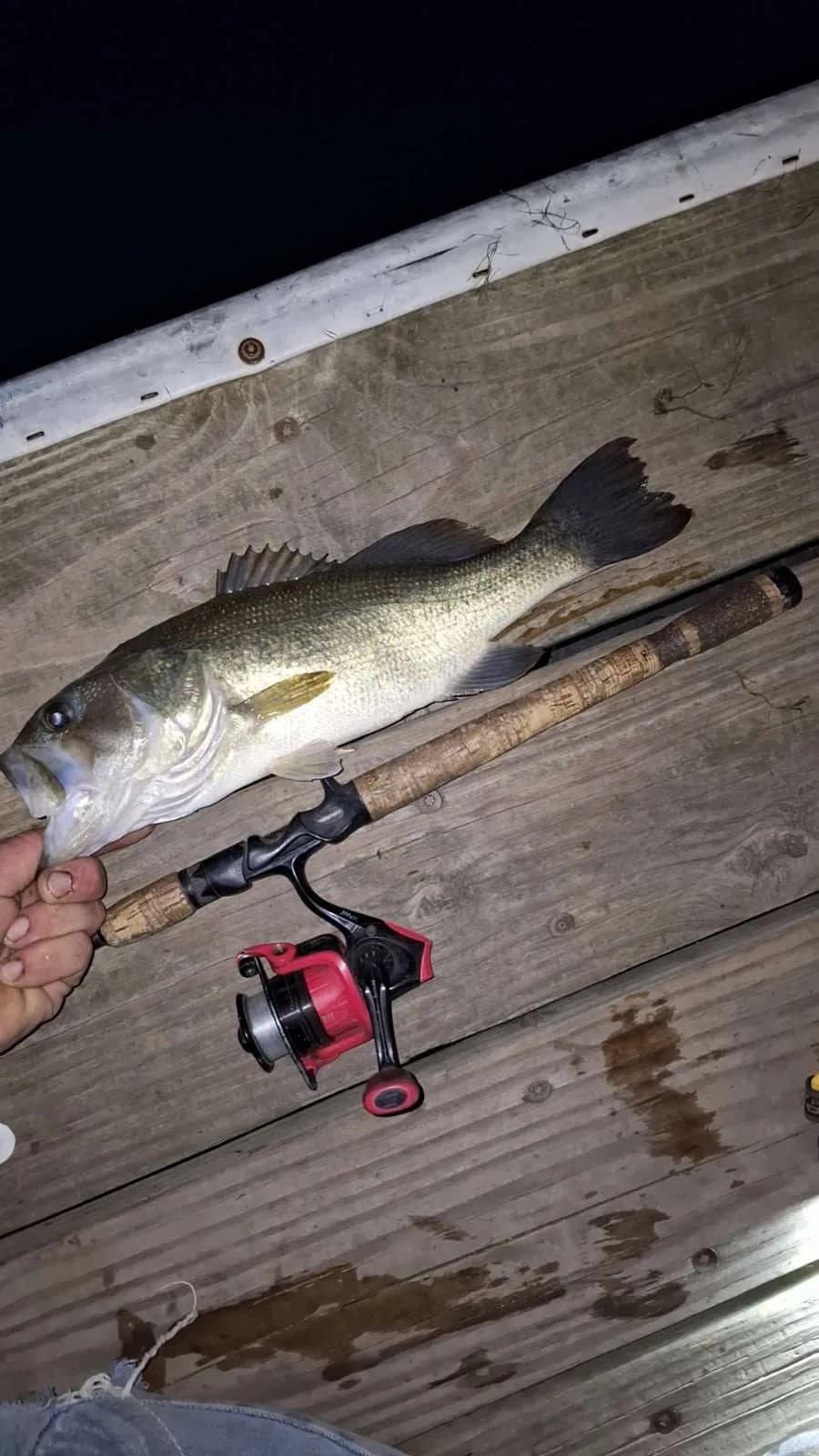 Carousel Main Image 3