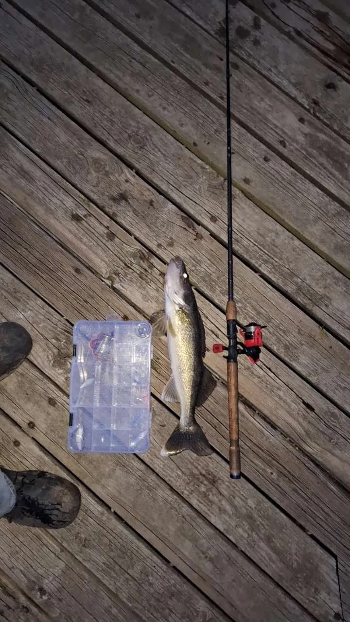 Carousel Main Image 10