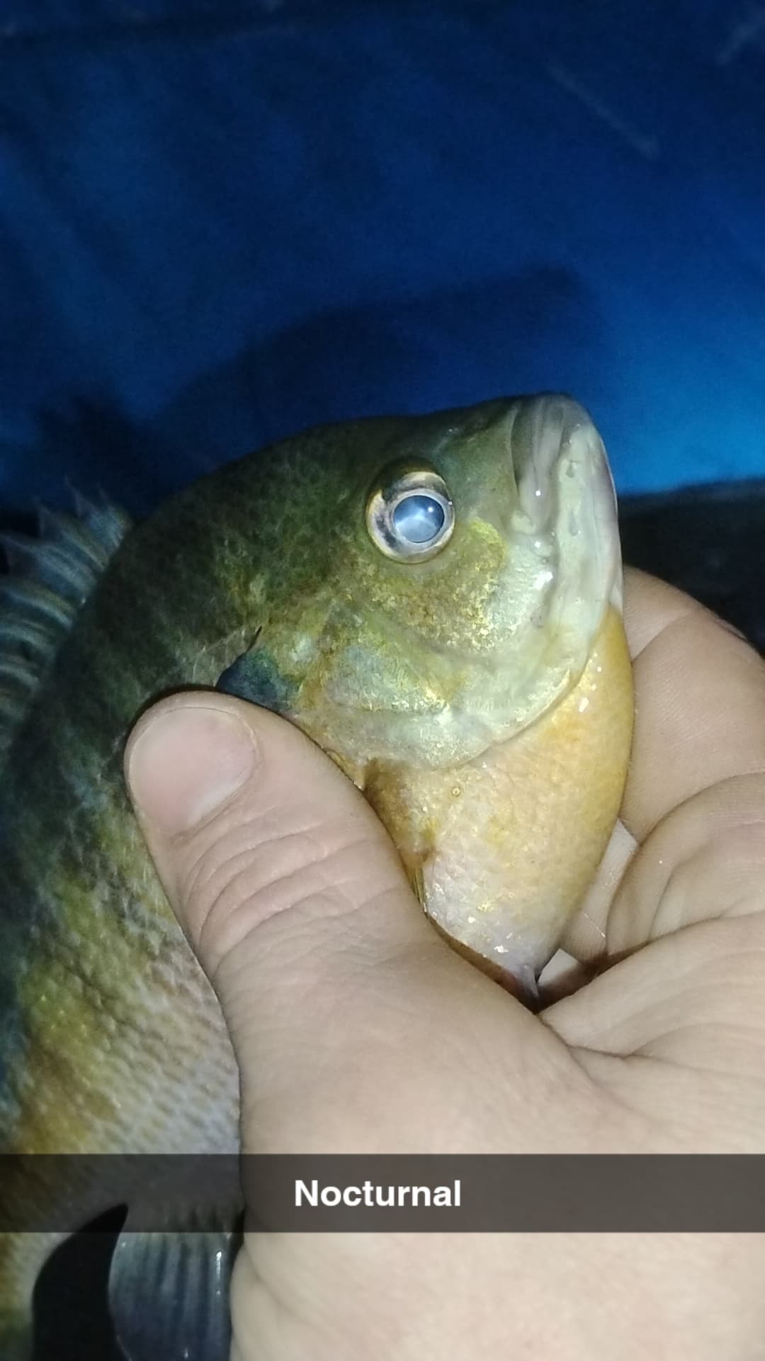 Carousel Main Image 9