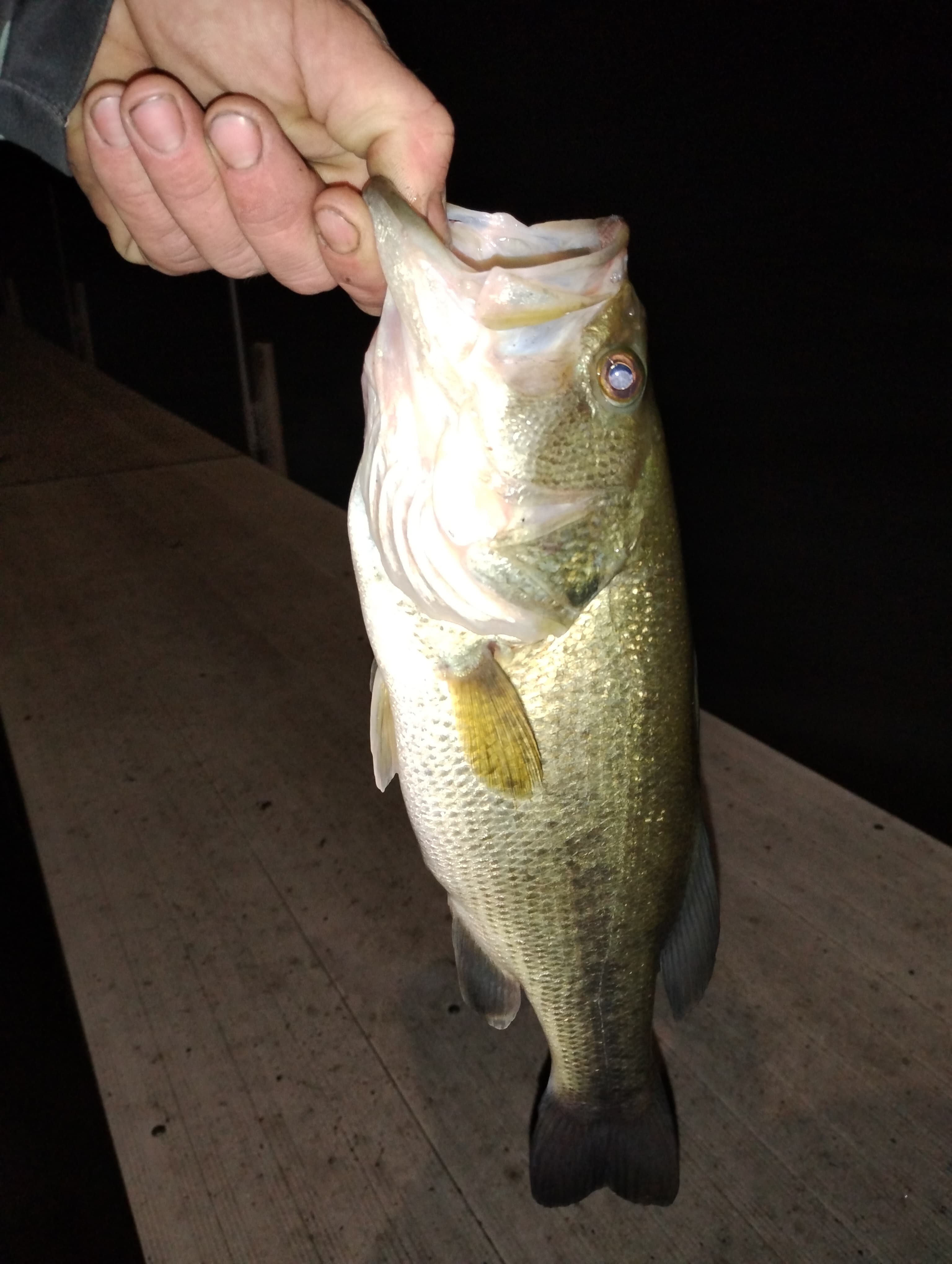 Carousel Main Image 5