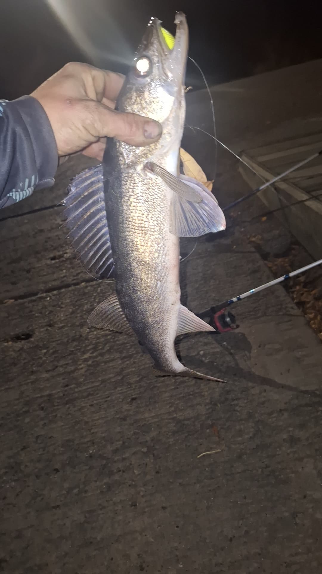 Carousel Main Image 8